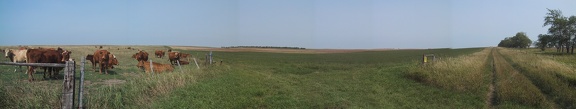 South Border Panorama
